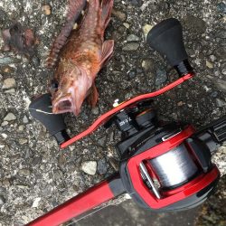 穴釣りすらもイマイチ